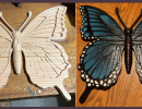 wood   large butterfly  before and after 