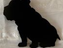 wood   sihlouette   bull dog 